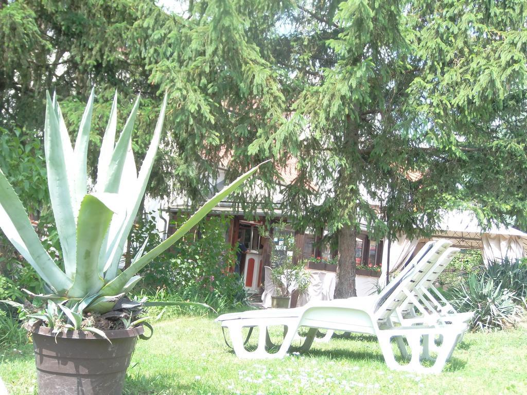 Hotel Viktoria Balatonalmádi Exterior photo